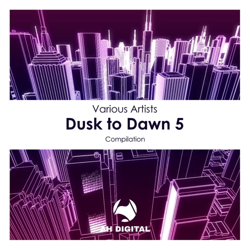 VA - Dusk to Dawn 5 [AHD238]
